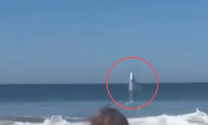 תיעוד חריג בקליפורניה: כריש ענק זינק מהמים מול הרוחצים בחוף 