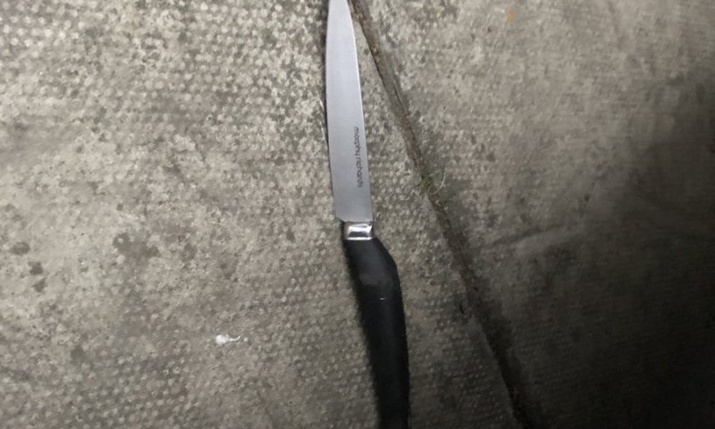 הסכין בה השתמשה האשה. צילום: ארגון השומרים לונדון