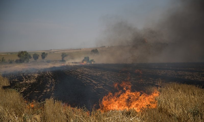 שטחים חקלאיים עולים הבוקר באש. צילום: יונתן זינדל, פלאש 90