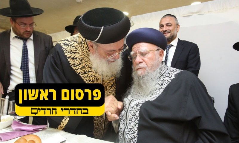 צילום: קובי הר צבי