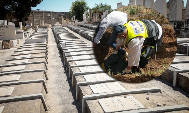 צילום: פלאש 90 וזקא