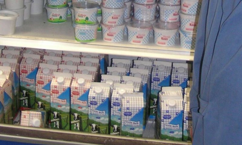 מקרר חלב באנטוורפן (באדיבות המצלם) 