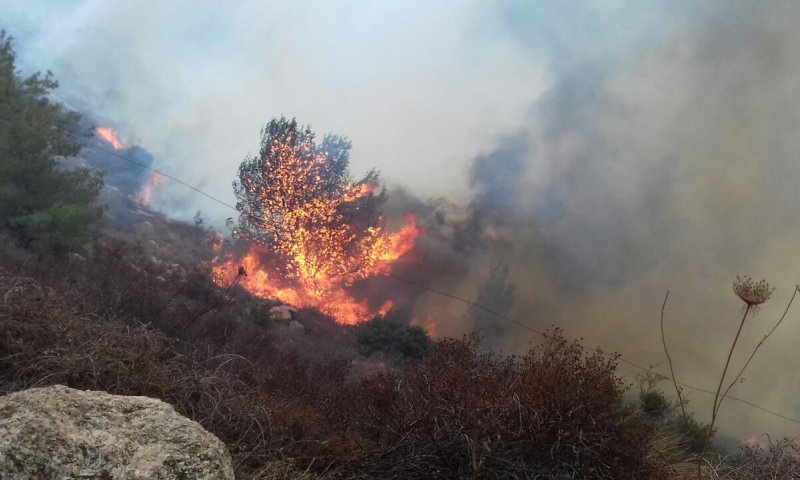                                 Wildfire Forces Nataf Residents To Evacuate Homes