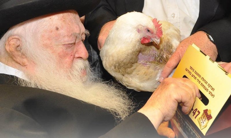 מיוחד: כך היה הגר"ח קניבסקי זצוק"ל עורך את מנהג הכפרות
