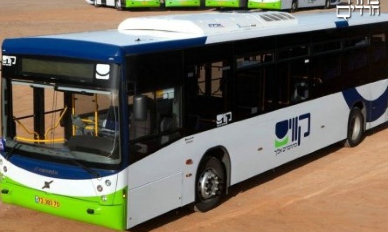 האוטובוס של חברת קווים (צילום: קווים)