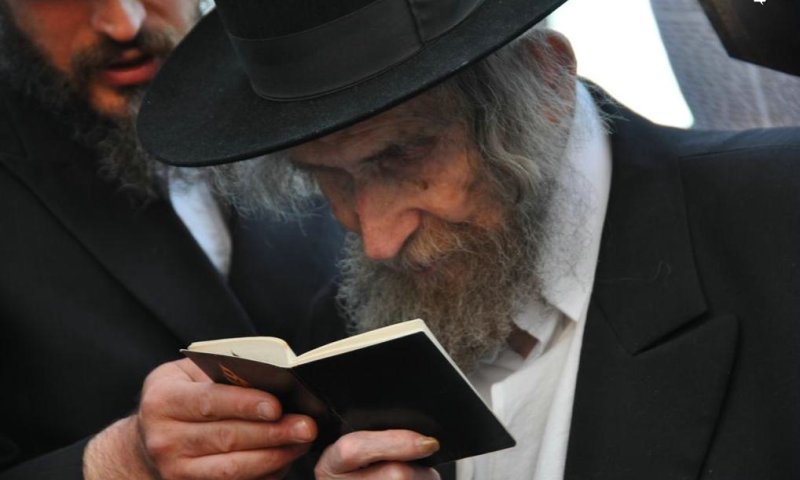 Hagaon R' Aharon Leib Steinman. Photo: Uzi Barak