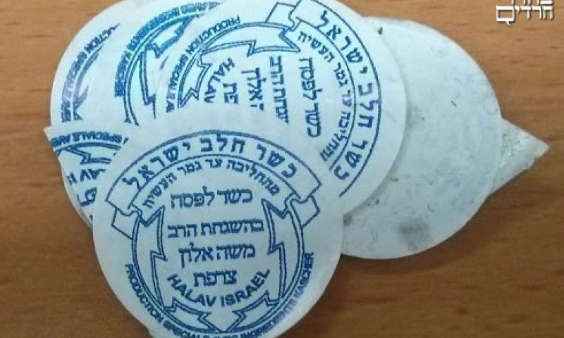 צילום: הרבנות הראשית לישראל