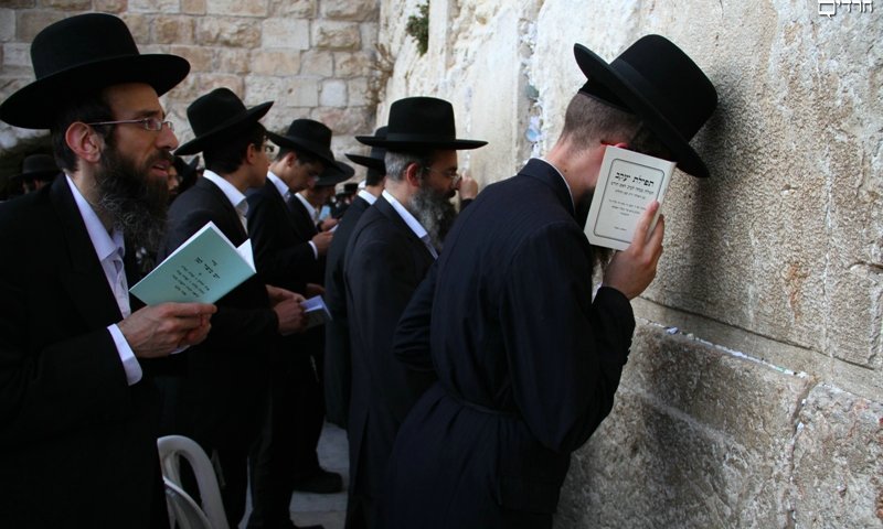 Prayer at the Western Wall. Photo: Yaakov Cohen 