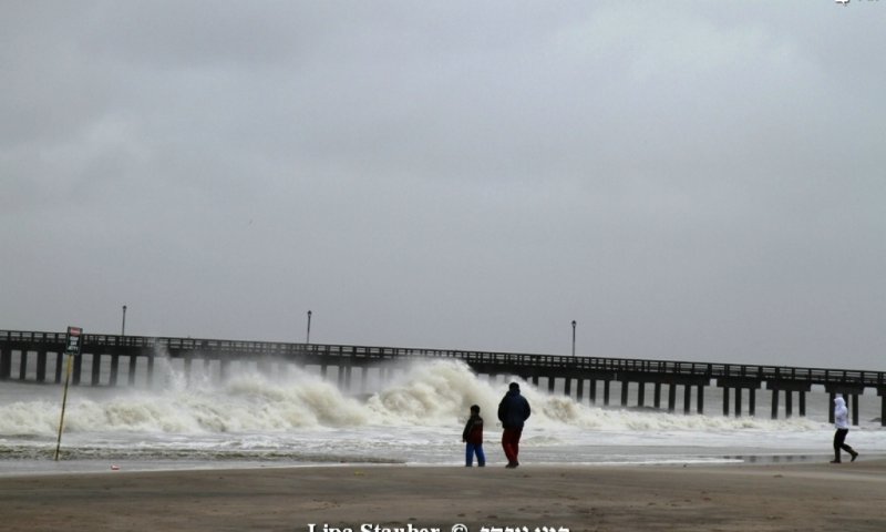 Hurricane. Photo: Lipa Stauber 