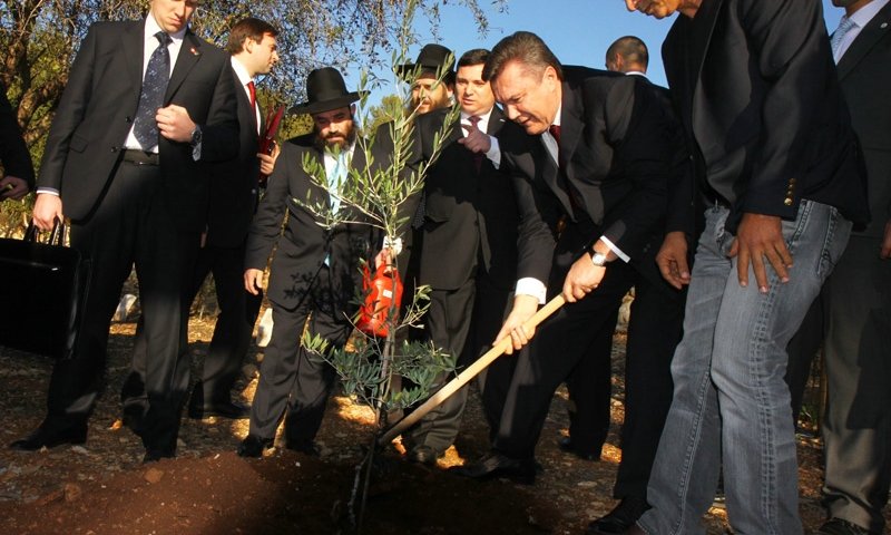 נשיא אוקראנה נוטע עץ. צילום ארכיון