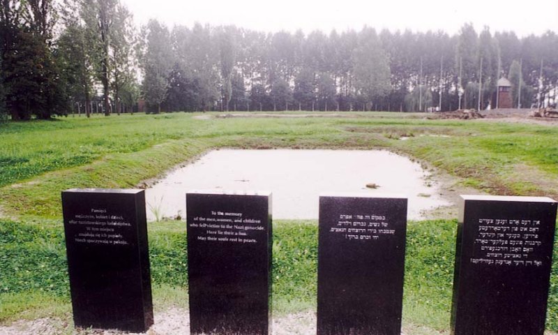 קבר אחים במחנה השמדה. צילום: ארכיון