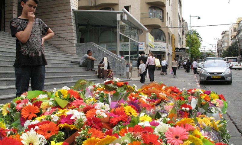 אילוסטרציה. צילום: יעקב כהן