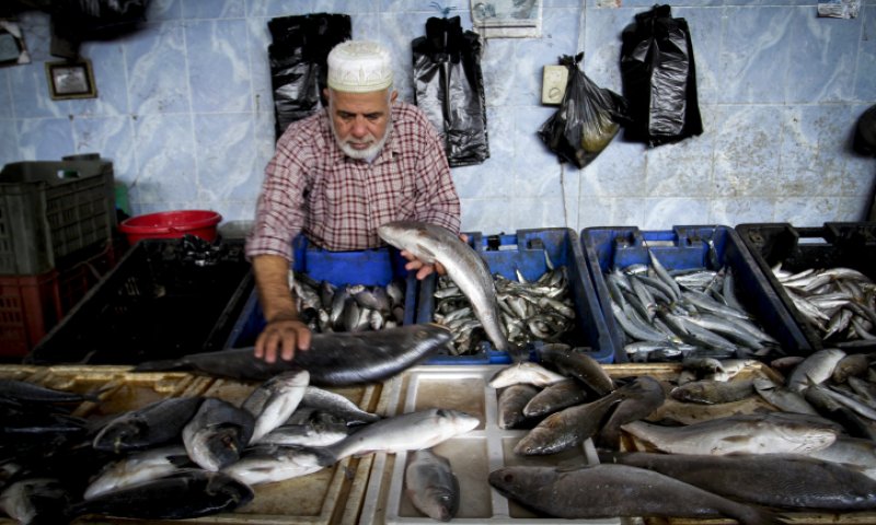 דגים בשוק, צילום: עבד רחים חטיב, פלאש90