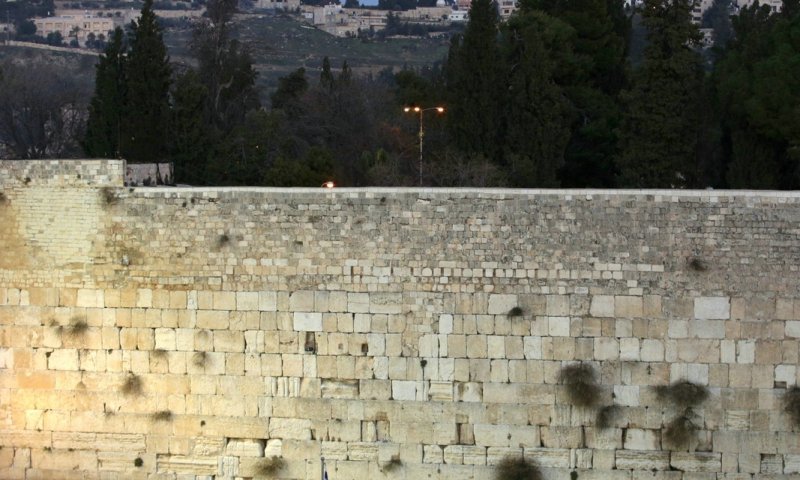 Breaved Families Request: Yom Tefillah at the Kosel