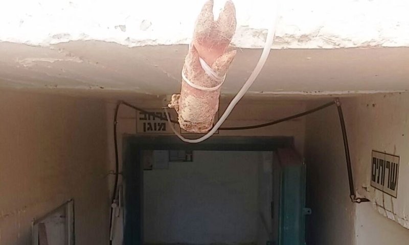 רגל חזיר שנתלה בכניסה לבית הכנסת גור. צילום: חטיבת דובר המשטרה