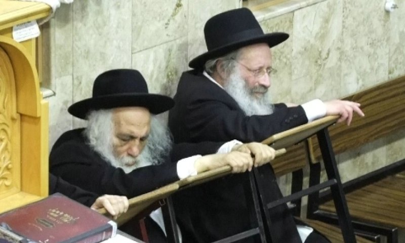 Hagaon Rav Chaim Shlomo Leibowitz and Hagaon R' Yaakov Eliezer Schwartzman. Photo: Behadrey Haredim