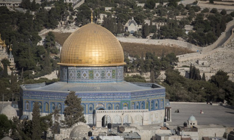 צילומים: הדס פרוש ויונתן זינדל, פלאש 90