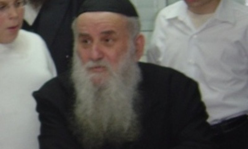 Hagaon Rabbi Dov Tzvi Karelinstein (courtesy of photographer)