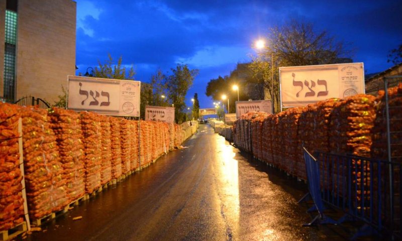 צילום: שוקי לרר