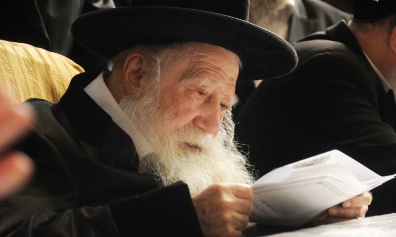The Rebbe of Erloi. Photo: Shmuel Drey