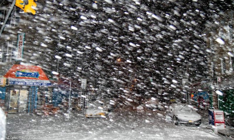 שלג. צלם: ליפא שטאובר
