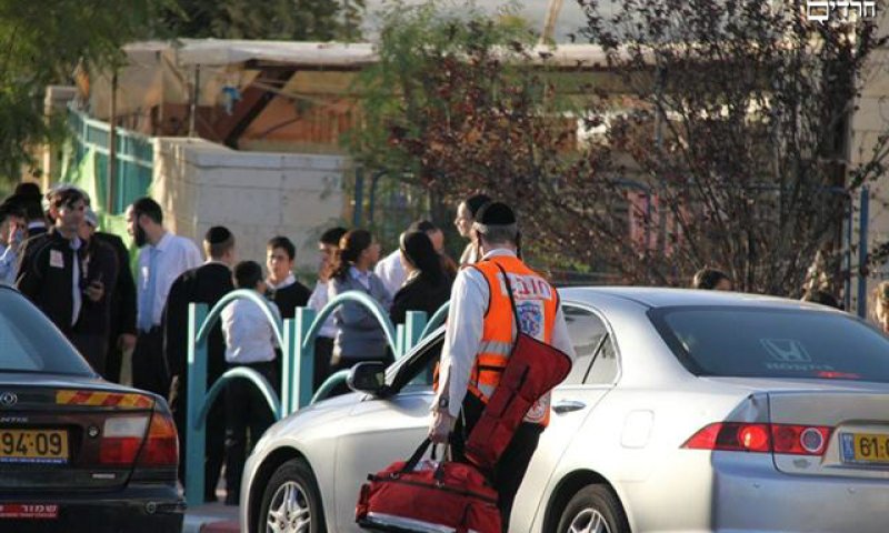 צילום ארכיון: בועז לב ארי