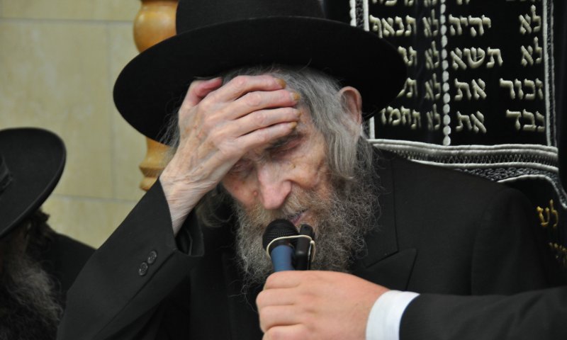 Hagaon R' Aharon Leib. Photo: Uzi Barak 