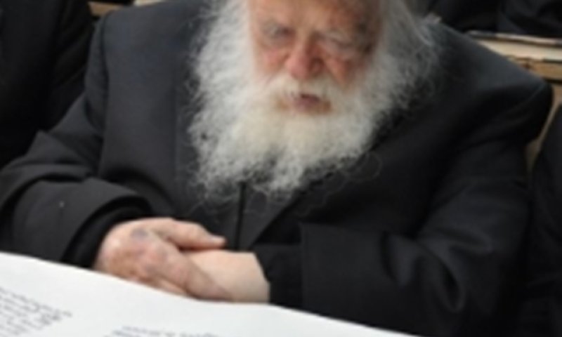 Hagr"c Kanievsky during the reading of the Megillah. Photo: Uzi Barak 