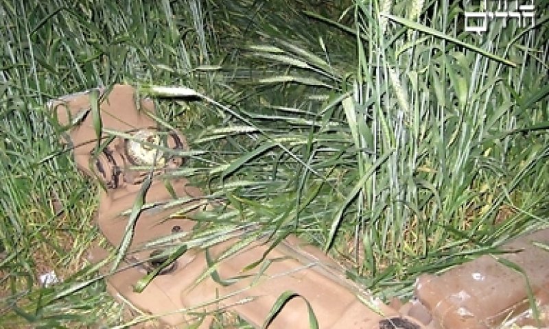 שרידי המסוק שאיתר הבחור; צילום: yyz