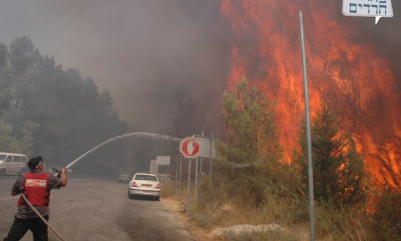 השריפה שהשתוללה. צילום: יאיר  אגרנט