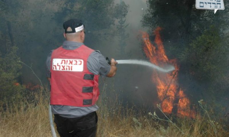 השריפה משתוללת, אמש. צילום: יוסי אגרננט