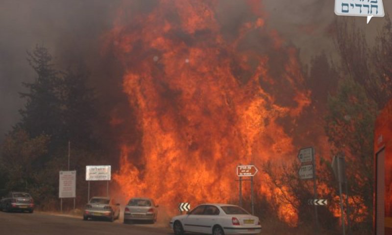 צילום יאיר אגרנט