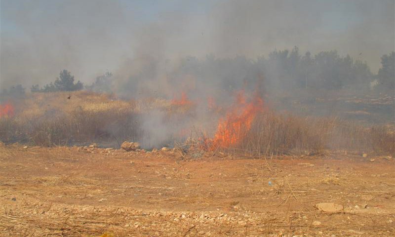 צילום אילוסטרציה: יצחק לב ארי