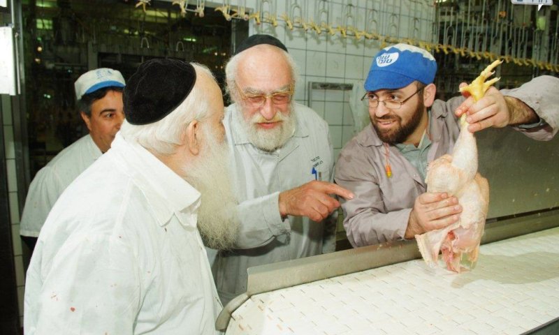 העוף הנדיר. הרב אוירבך בודק את העוף במפעל. צילום: ישראל ברדוגו