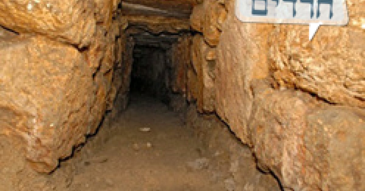 עוד תגלית ארכיאולוגית בירושלים: נחשפה אמת מים קדומה - בחדרי חרדים