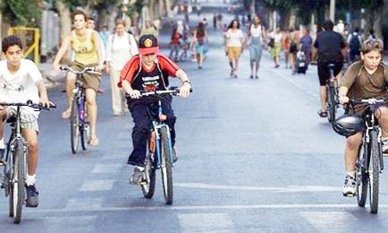 רוכבים ומוחים. אילוסטרציה