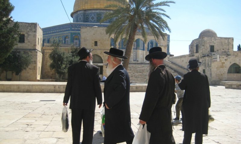 למרות האיסור. יהודים עולים להר הבית