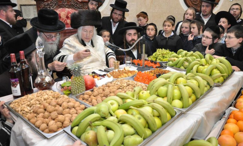 האדמו"ר מקאליב. בטיש ט"ו בשבט.