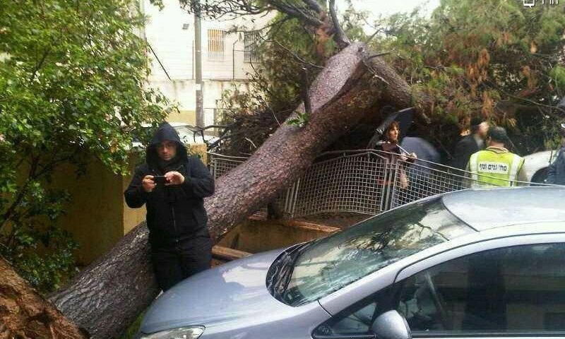 אחד הרכבים שהתרסק היום. צילום: בחדרי חרדים