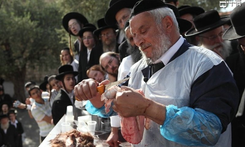 שחיטה. צילום ארכיון: יעקב נחומי