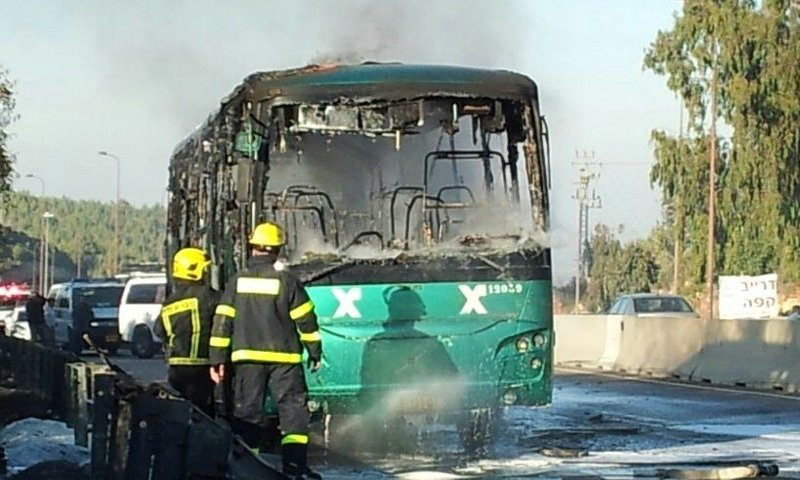 אוטובוס אגד, הבוקר. צילום: אלי גולד, חדשות 24