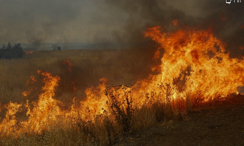 שריפה. צילום ארכיון: פלאש 90