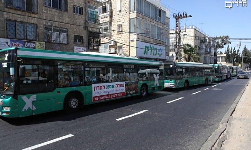 סכנת נפשות? אוטובוסים. צילום ארכיון 