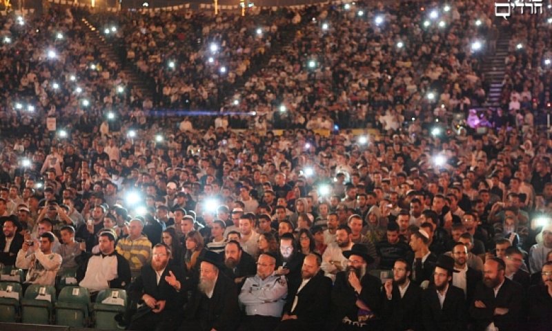 האלפים בבריכת הסולטן. צילום: יעקב נחומי