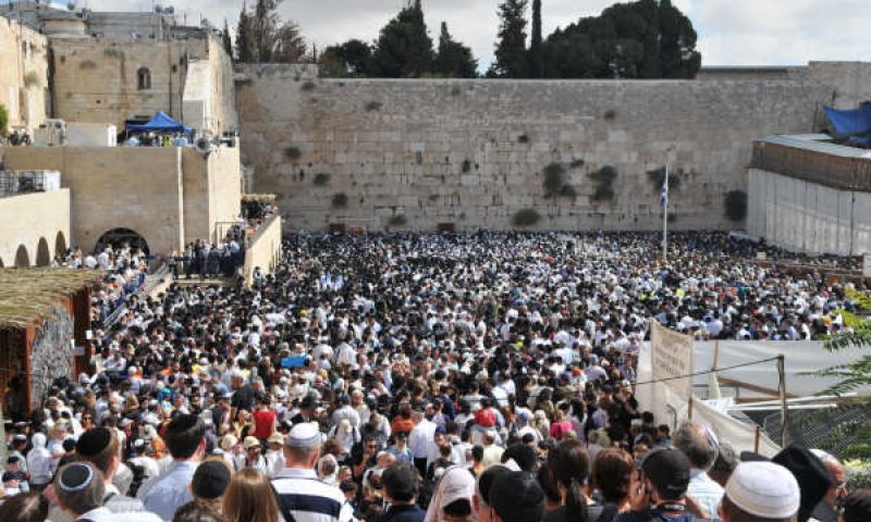 צילום ארכיון אליהו הלוי