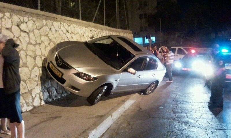 צילום: יעקב פלץ