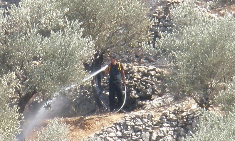 השריפה, היום. צילום: בחדרי חרדים