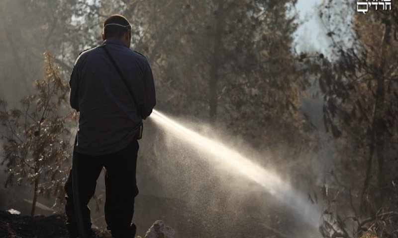 כוחות הכיבוי בפעולה, אתמול. צילום: יעקב נחומי