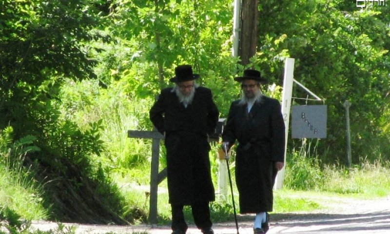 האדמו"ר מסטמאר עם ה'חברותא', בניו המפשיר. צילום: בחדרי חרדים