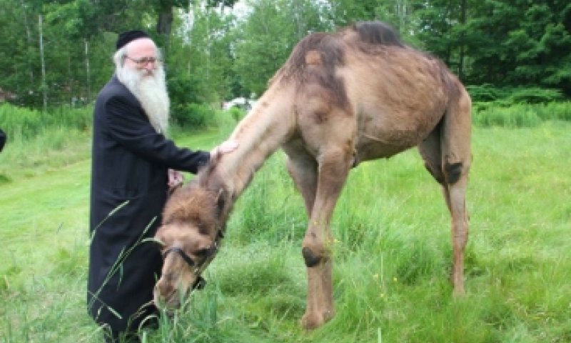 נופש בהרים. צילום ארכיון